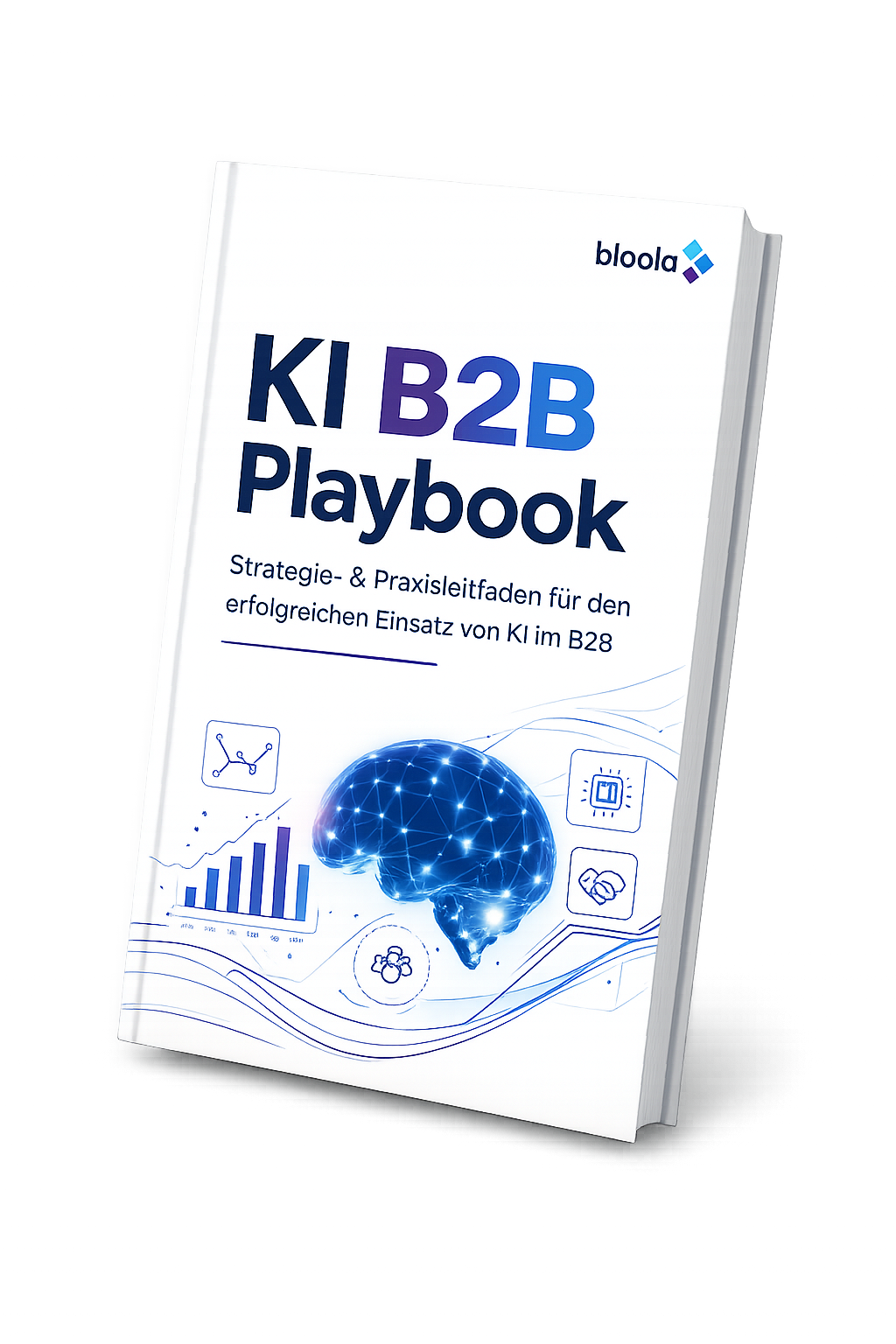 Strategie- und Praxisleitfaden KI B2B